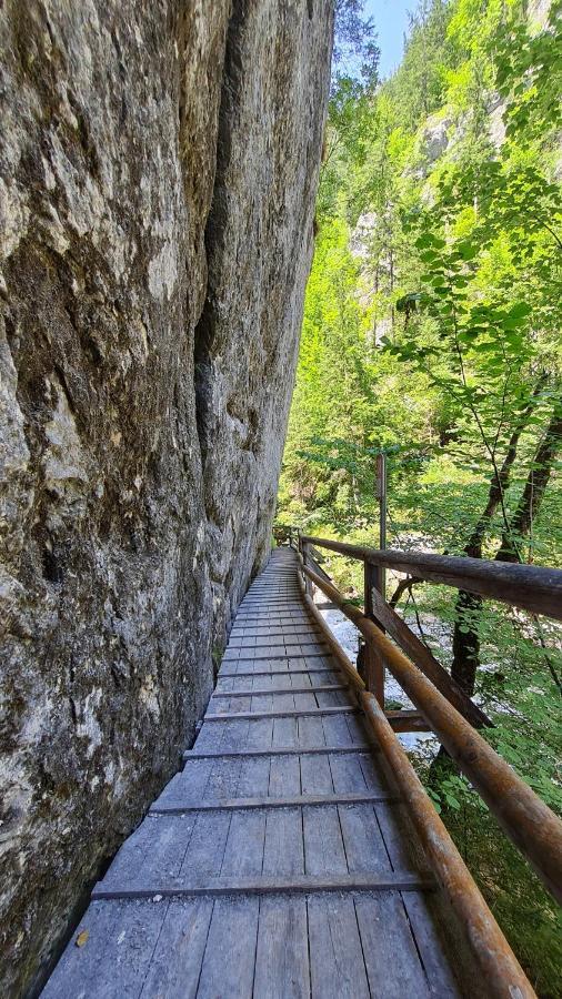 Haus Emmy - Urlaub Bei Freunden Villa Hohentauern Kültér fotó