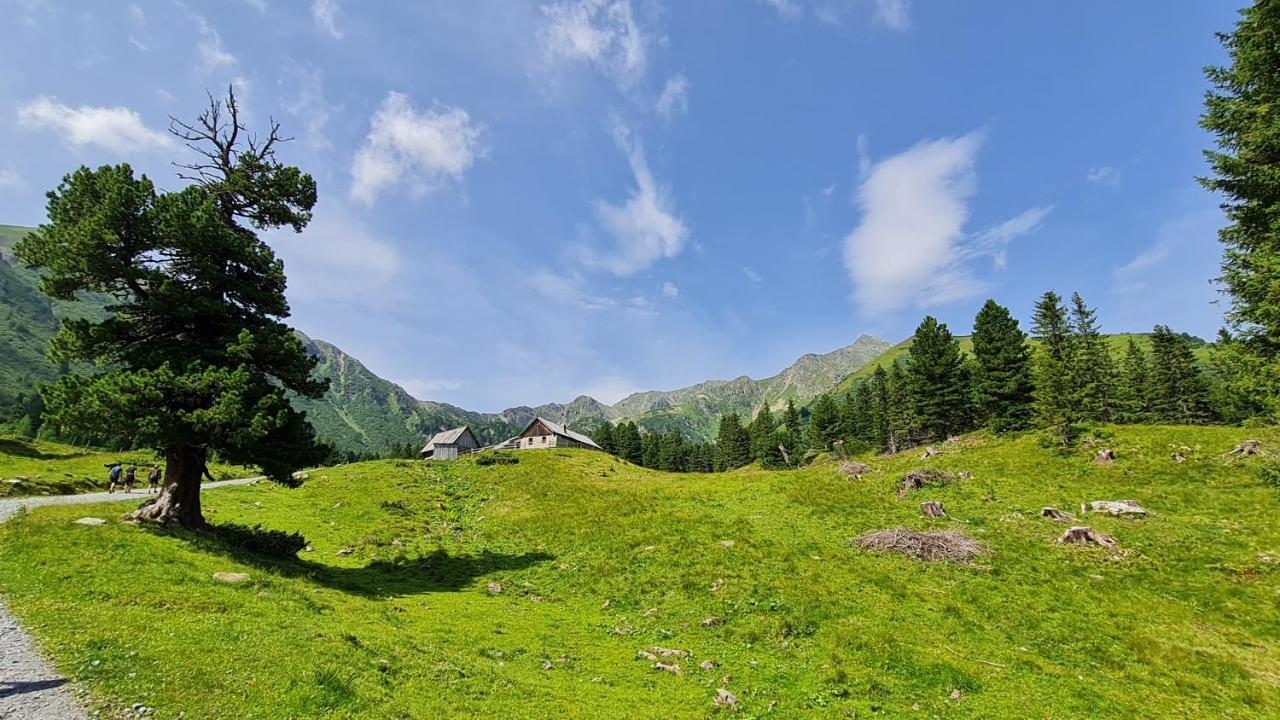 Haus Emmy - Urlaub Bei Freunden Villa Hohentauern Kültér fotó