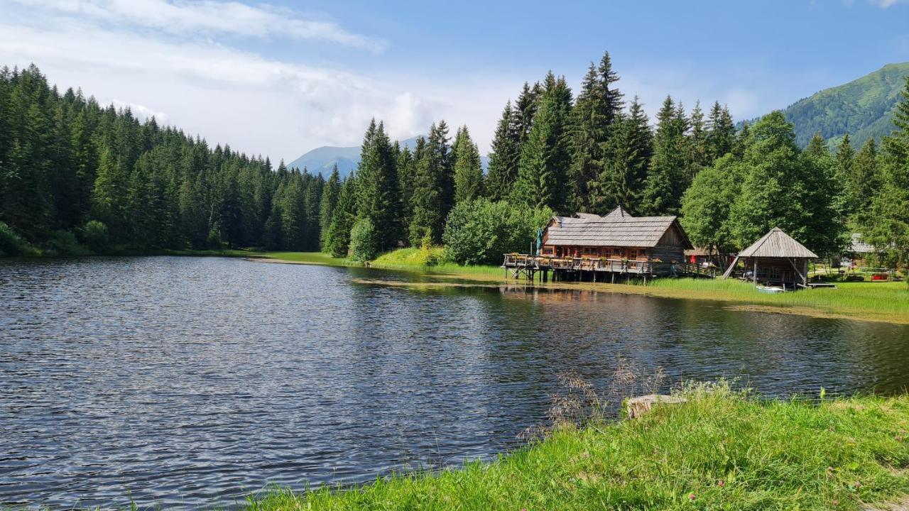 Haus Emmy - Urlaub Bei Freunden Villa Hohentauern Kültér fotó